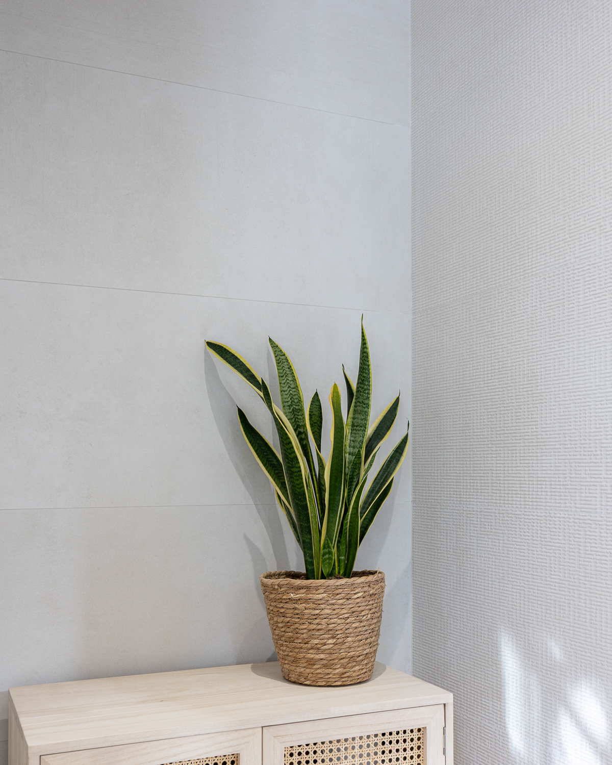 Imagen del proyecto Casa Nuvart